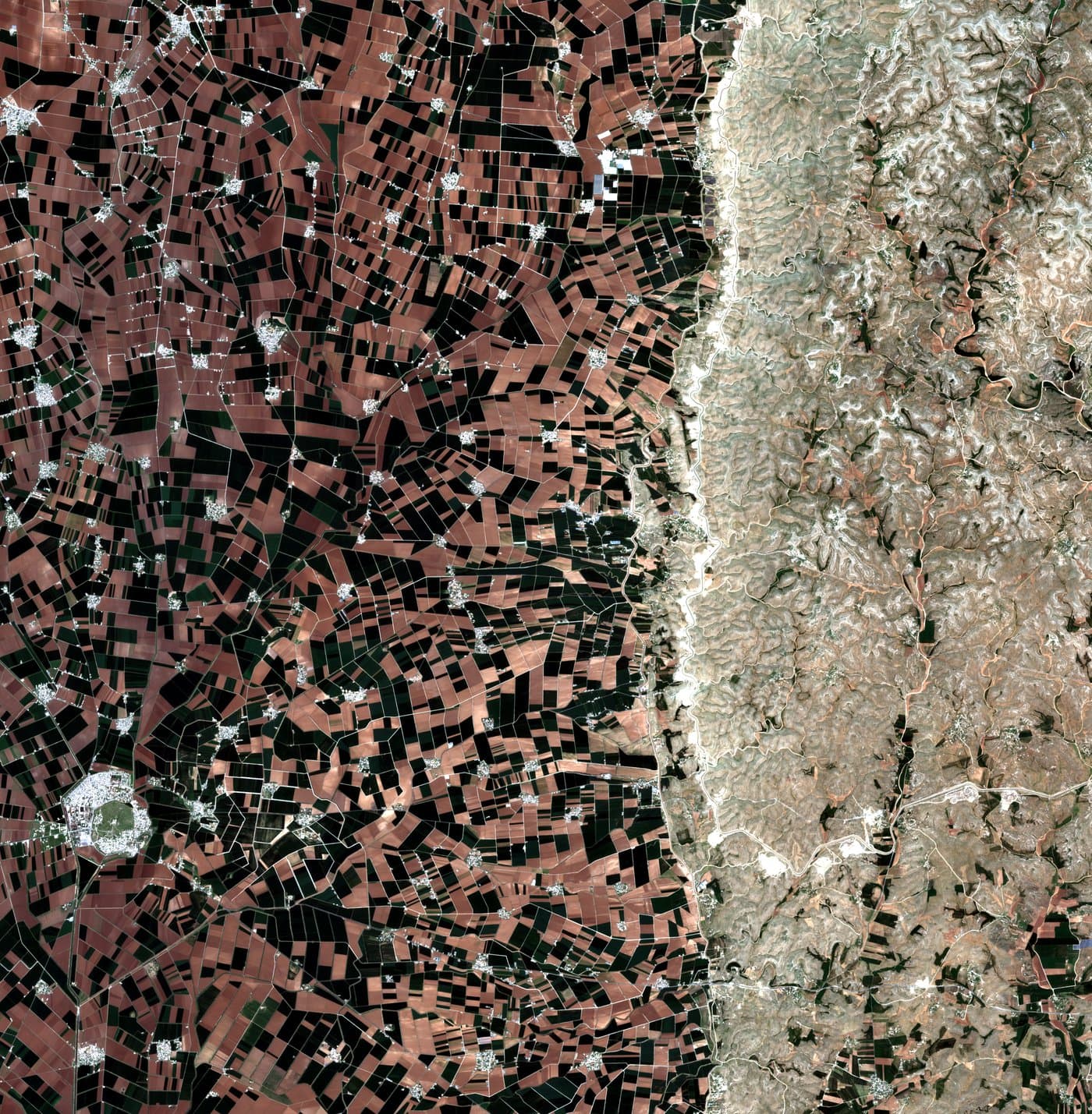 Satellite image of an agricultural site in southeast Turkey in early April 2024. Green vegetation across the irrigated plain.