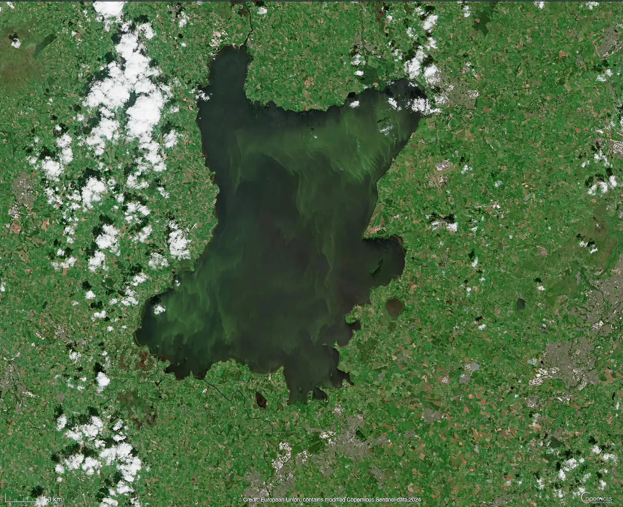 Sentinel-2 satellite imagery of Lough Neagh, July 2024