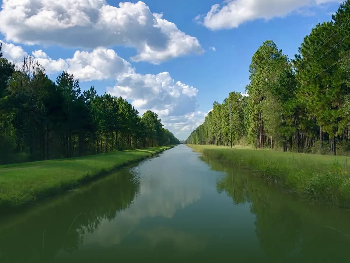 A straight water transfer canal between grass banks and pine woods