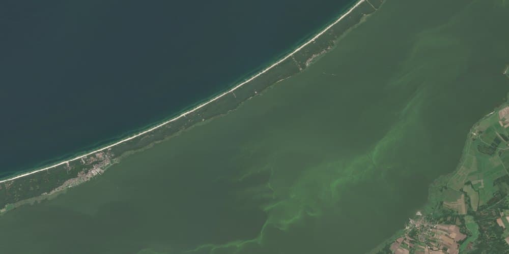 Satellite image of the Vistula Spit and Lagoon, 14 August 2025
