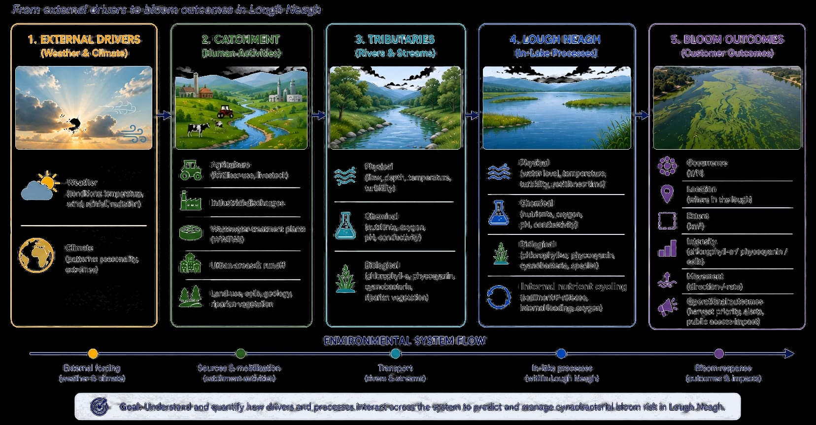 Environmental system overview diagram: from external drivers through the catchment, tributaries and Lough Neagh, to bloom outcomes