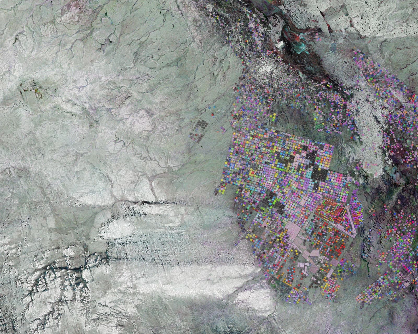 Satellite view of circular irrigated fields in a desert: managed sites seen from orbit
