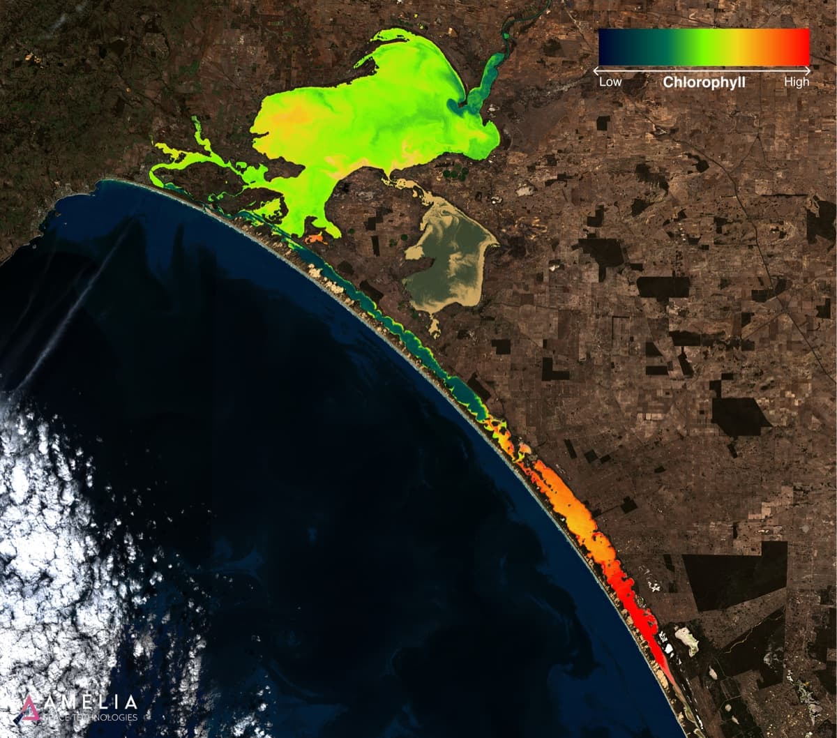 Chlorophyll concentration analysis in Long Bay — satellite-derived water quality heatmap