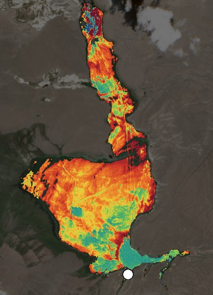 Satellite image of Crowley Lake on July 1, 2026, chlorophyll signal