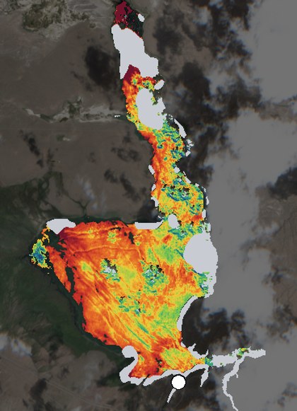 Satellite image of Crowley Lake on July 14, 2026, chlorophyll signal