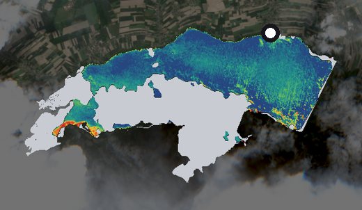 Satellite image of the Goczałkowice reservoir on 31 May 2024, chlorophyll signal
