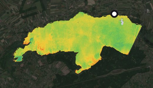 Satellite image of the Goczałkowice reservoir on 15 June 2024, chlorophyll signal